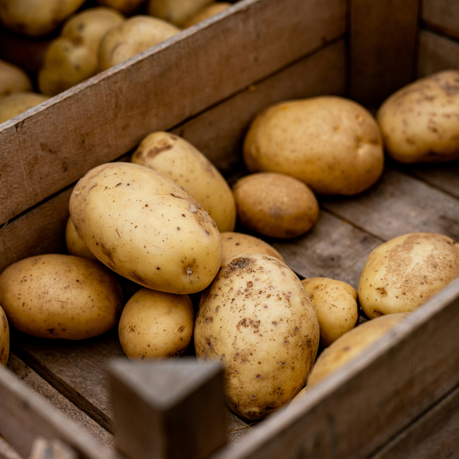 Nachhaltigkeit Bild 2