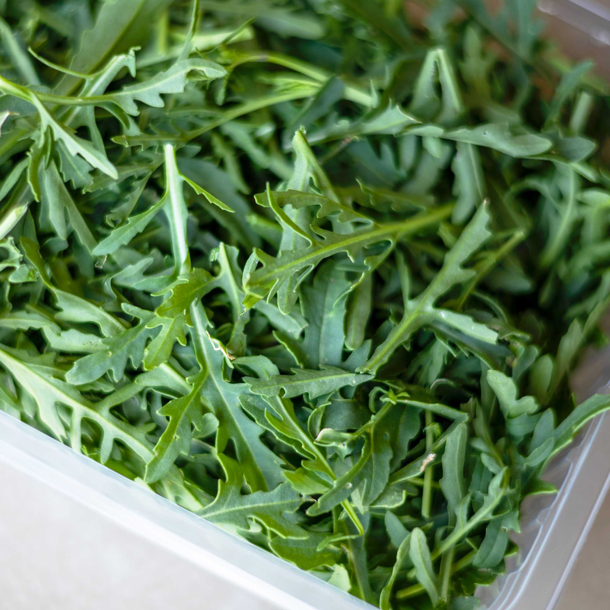 Nexori Group &ndash;&nbsp;Verpackungs- und Verarbeitungsl&ouml;sungen f&uuml;r die Schweizer Lebensmittelindustrie