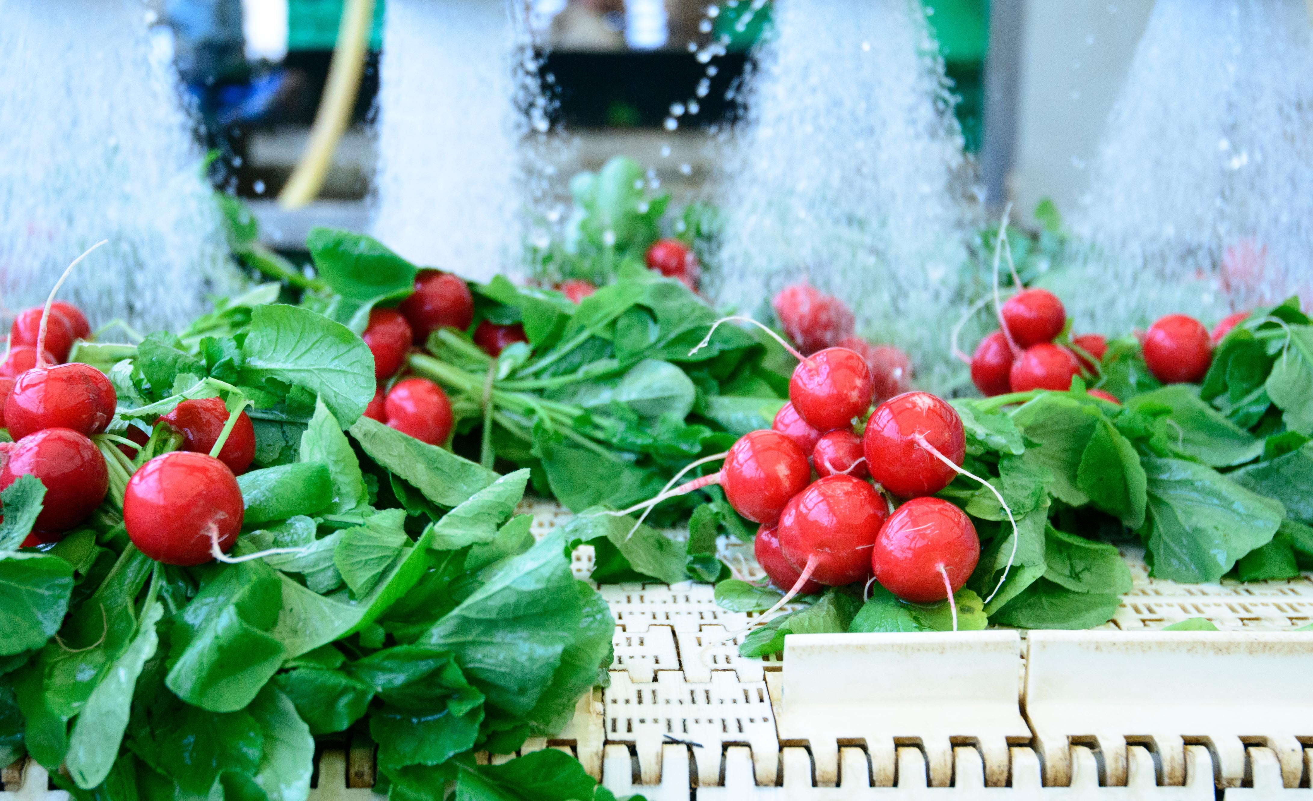 Nachhaltigkeit Bild 1